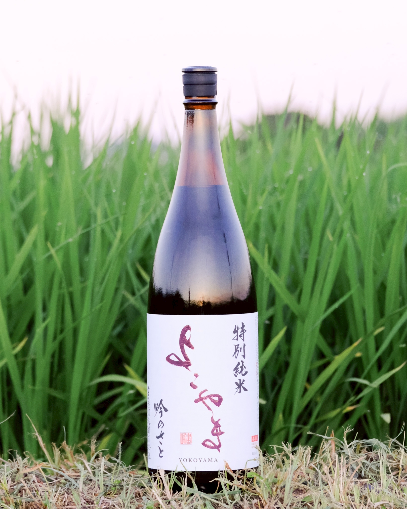 よこやま吟のさと 重家酒造