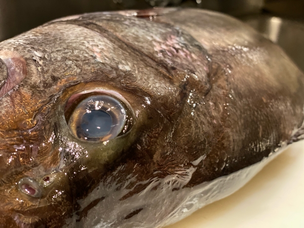 旬魚旬菜 仁 国分町店 いしなぎ