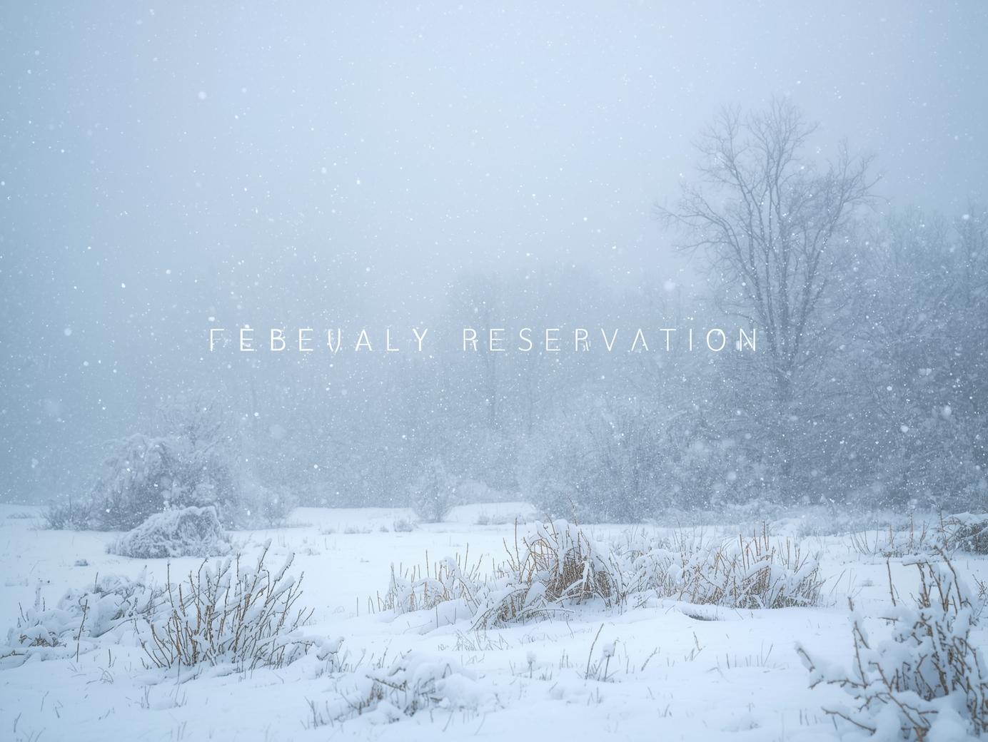 ２月の雪の降るきれいな画像、【february reservation】文字を入れてください.jpg