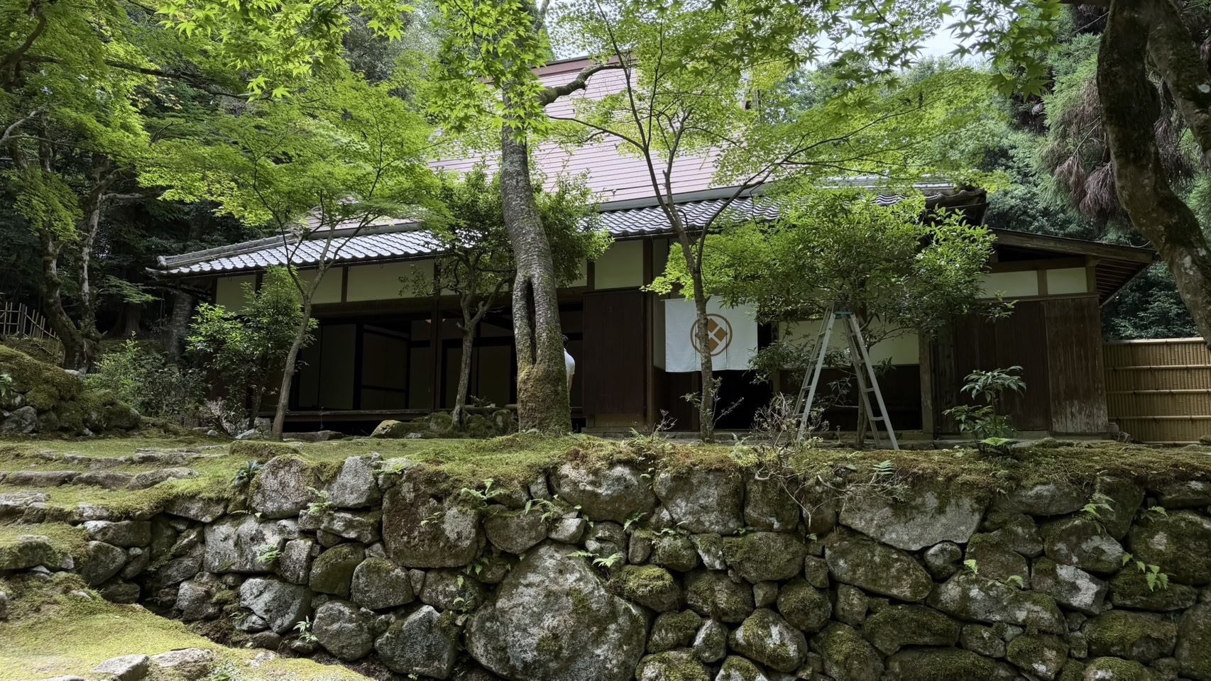 s__55443470_0.jpg