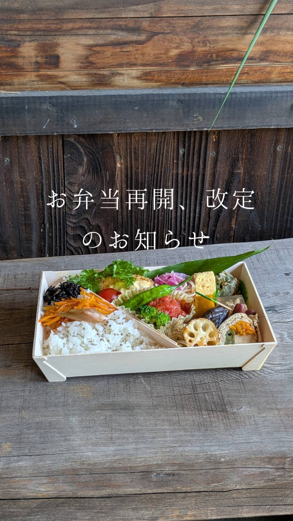 9月弁当改定