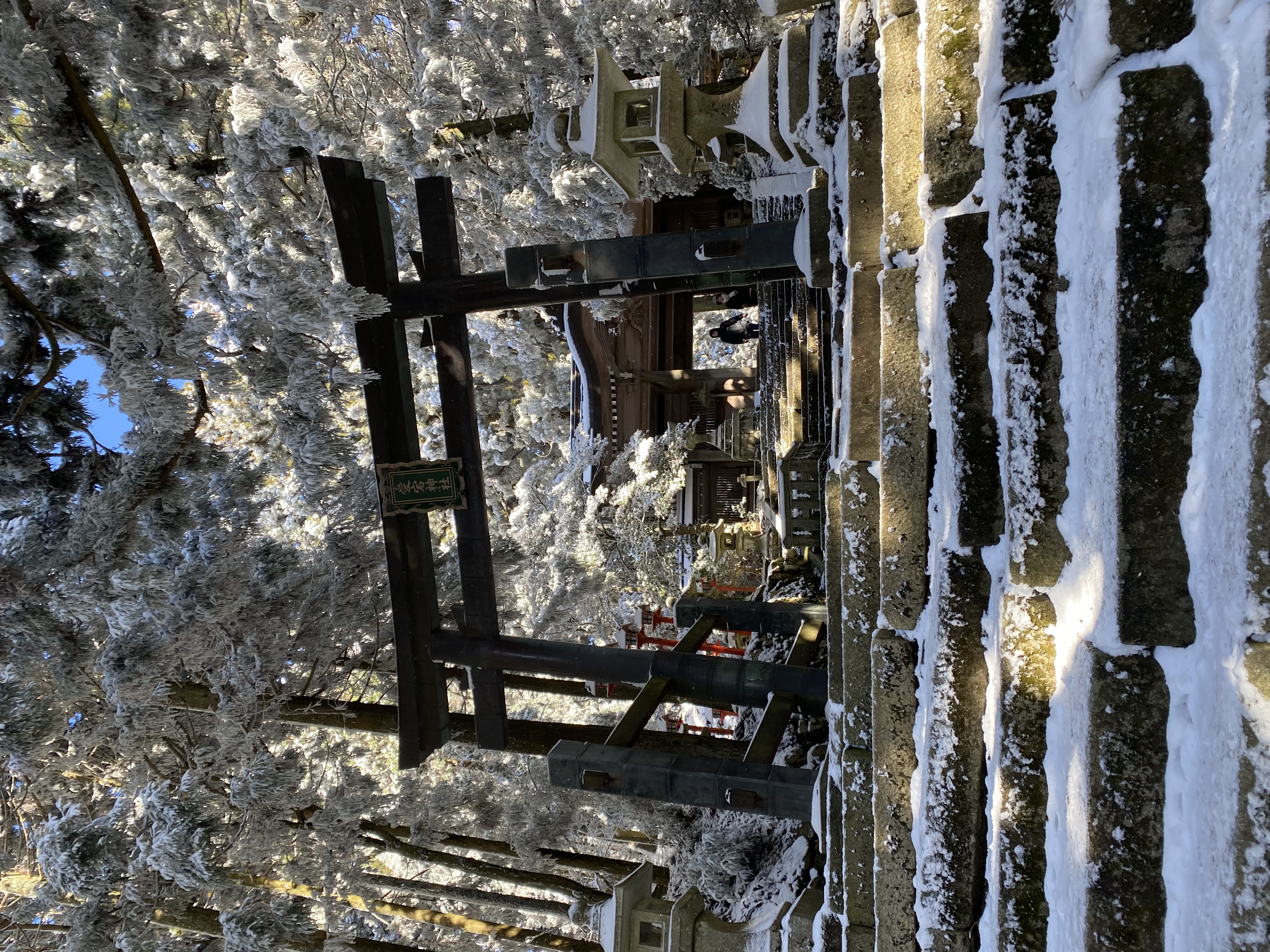 img_0851.jpeg