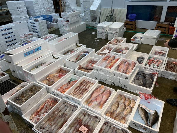 16日 現場の画像