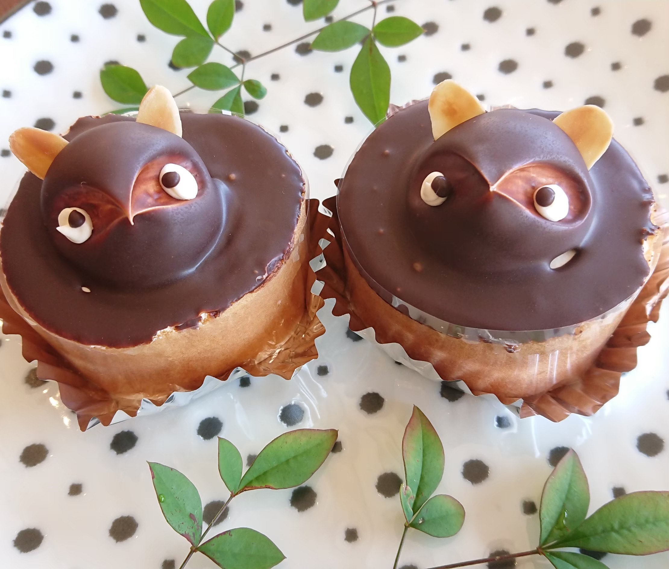 たぬきケーキ (3).jpg