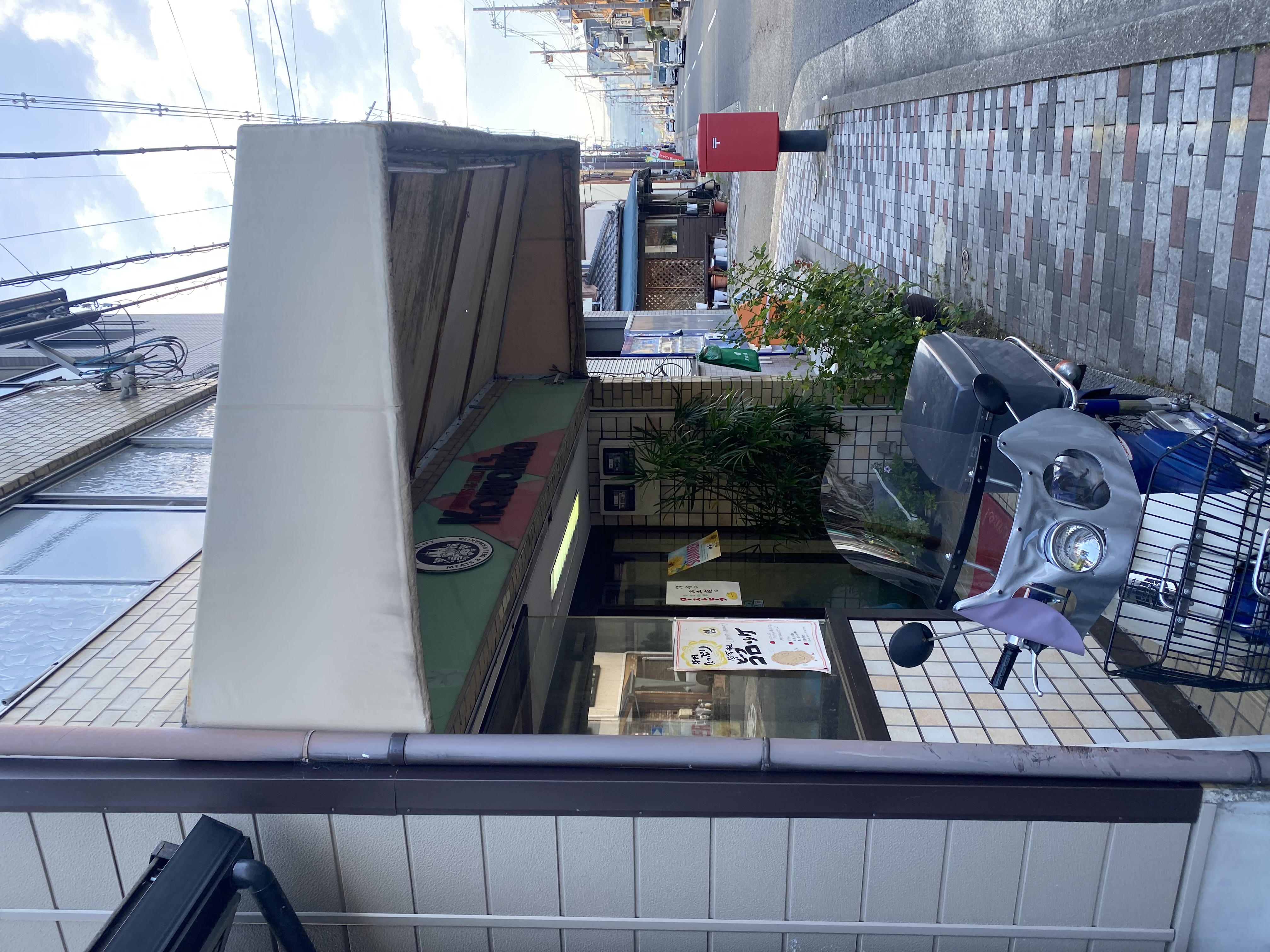 img_1093.jpeg