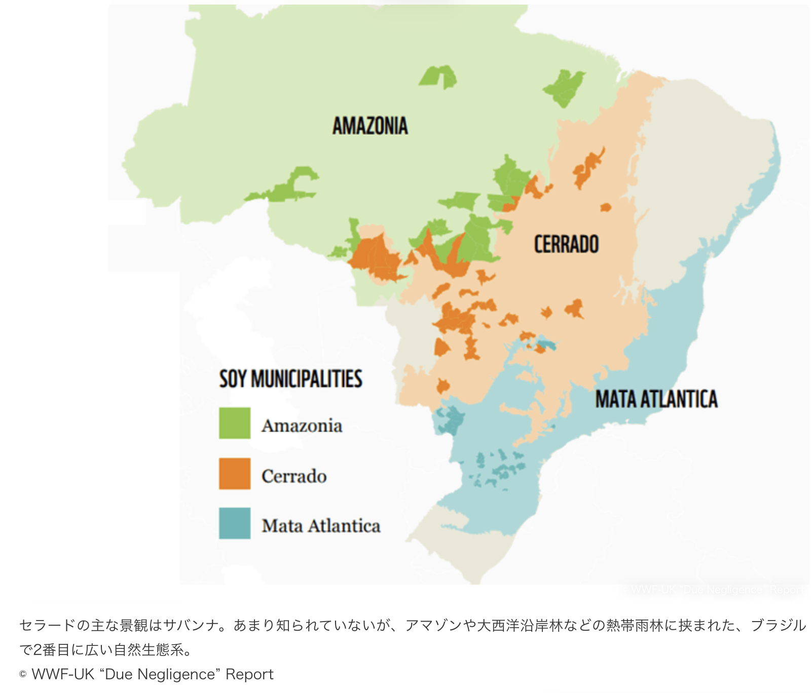大豆と「世界で最も生物多様性に富むサバンナ」ブラジル セラードの深い関係 ｜wwfジャパン.png