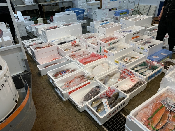 15日 現場の画像