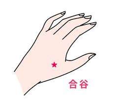 ダウンロード (5).jpg