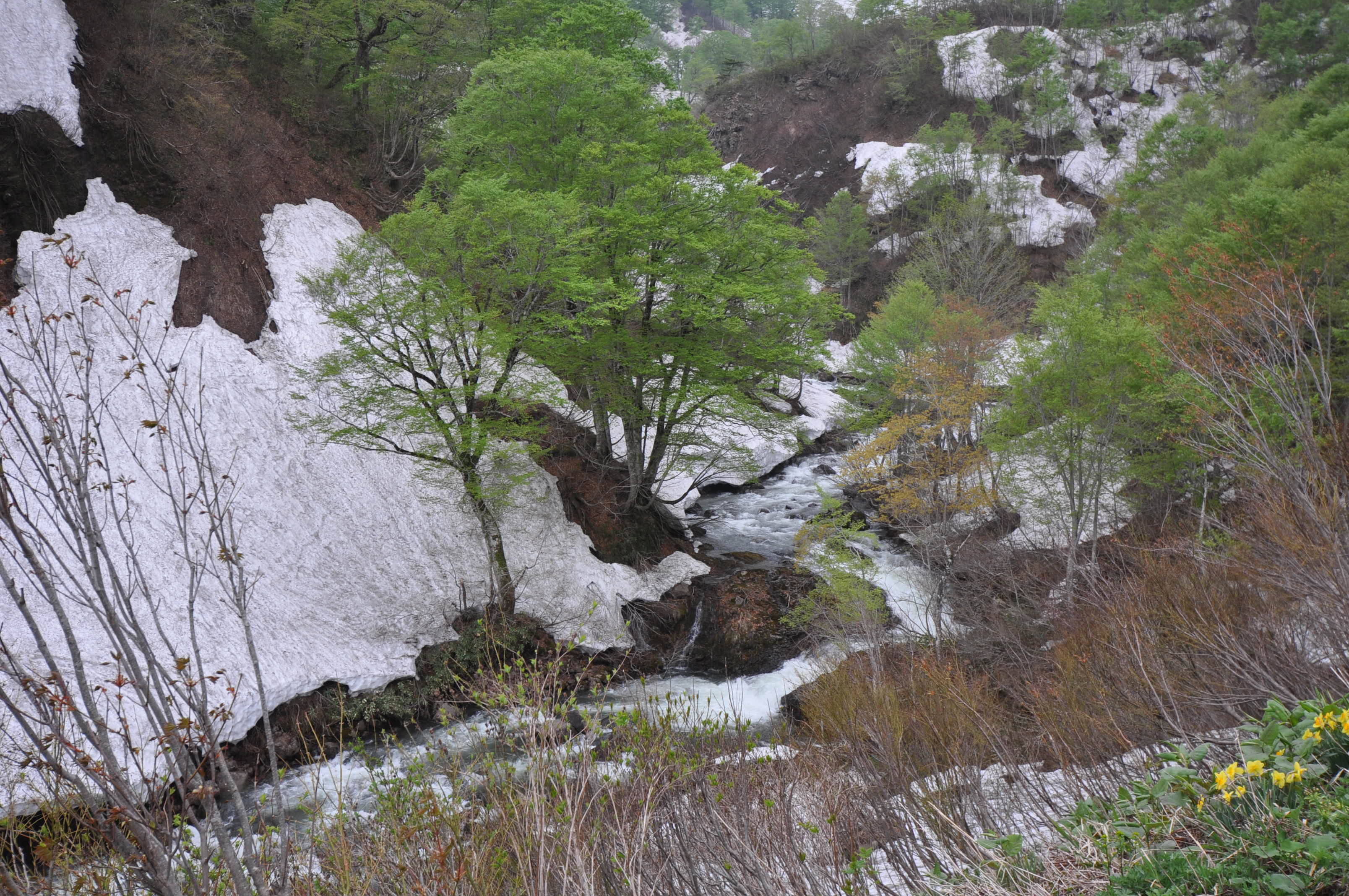 dsc_0014.jpg