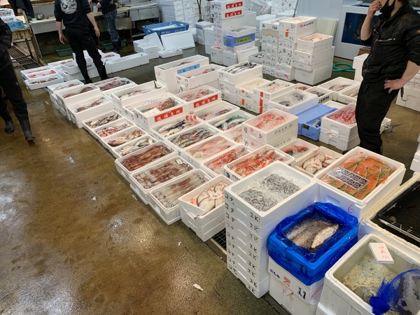 17日 現場の画像