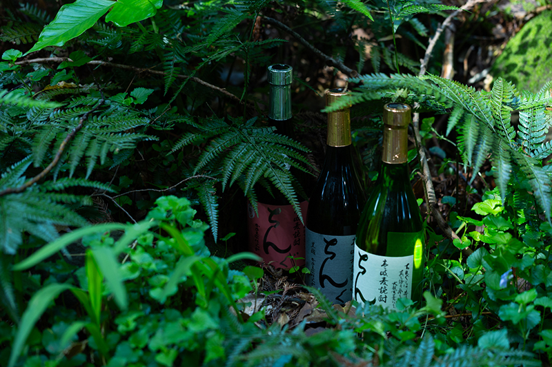 重家酒造ちんぐ 壱岐麦焼酎