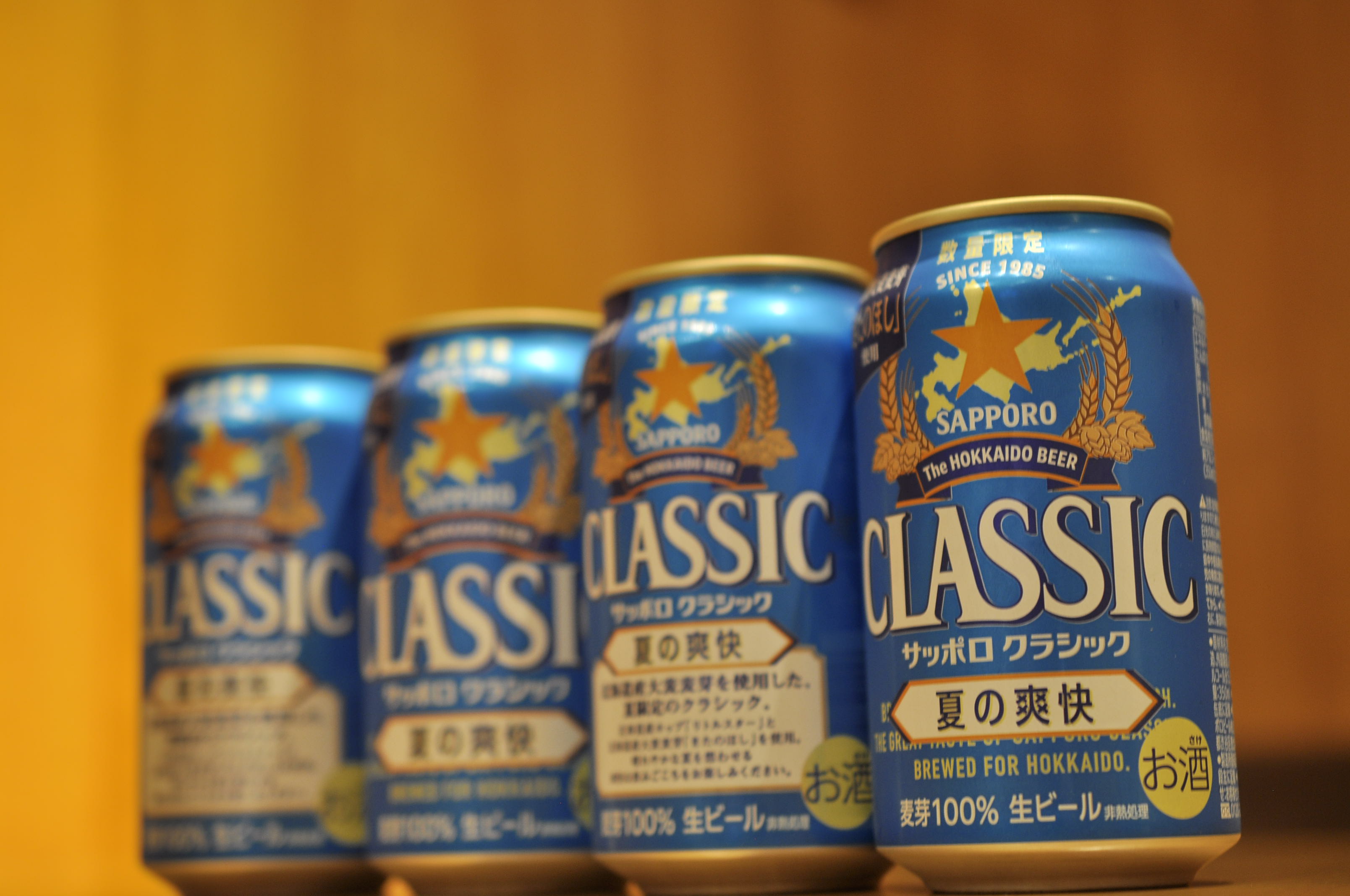 _dsc0237.jpg