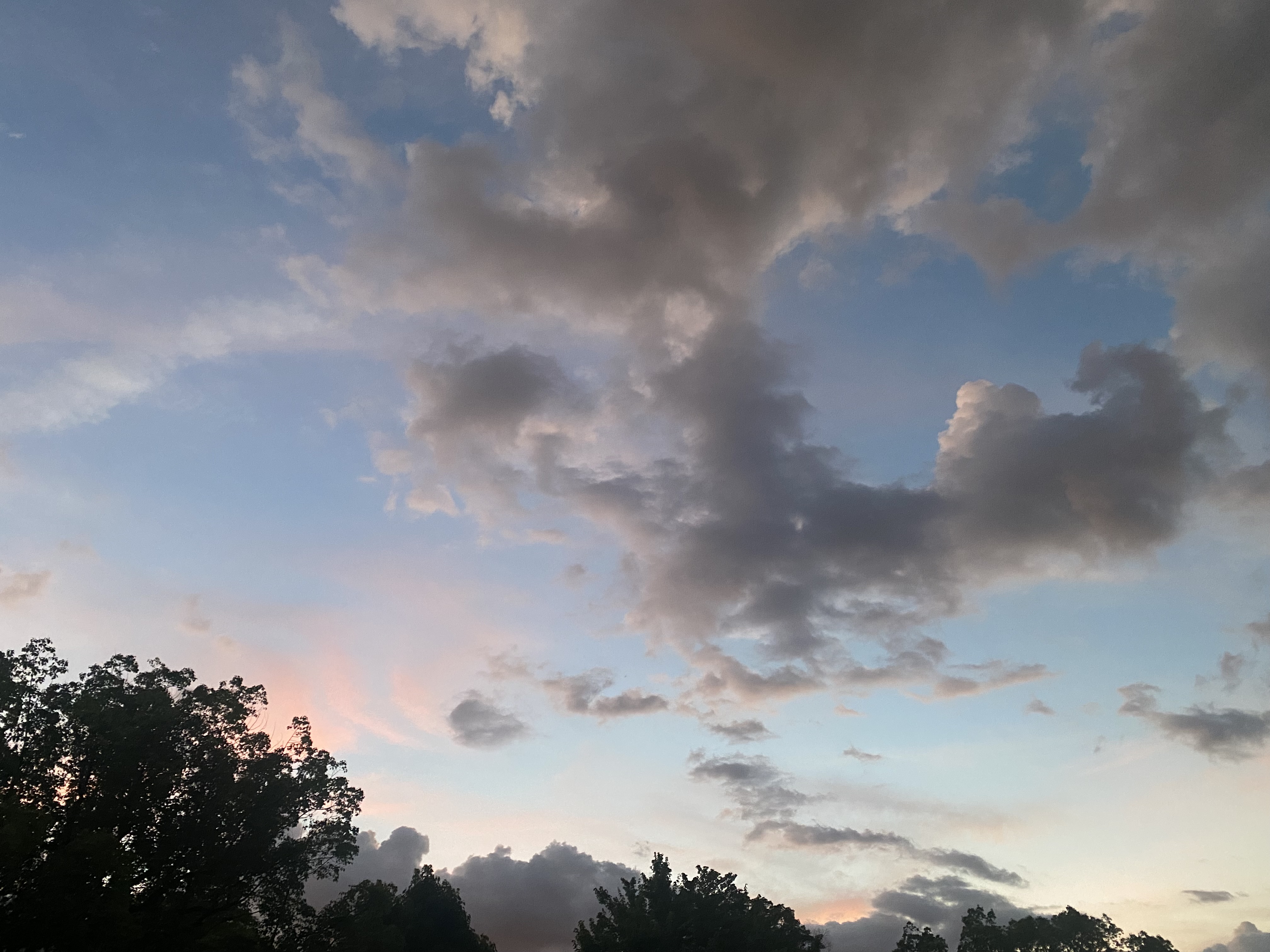img_5285.jpeg