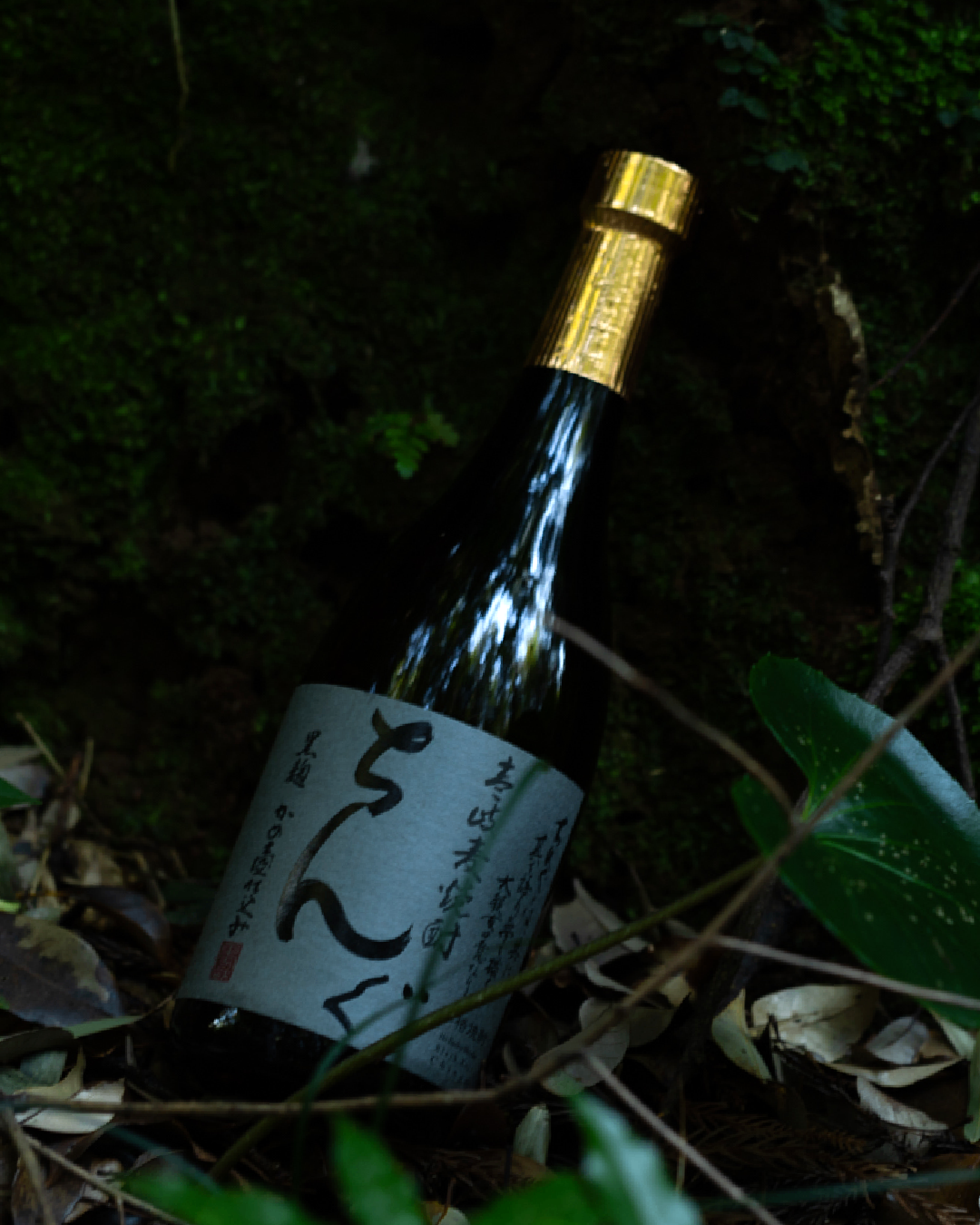 重家酒造の壱岐焼酎ちんぐ
