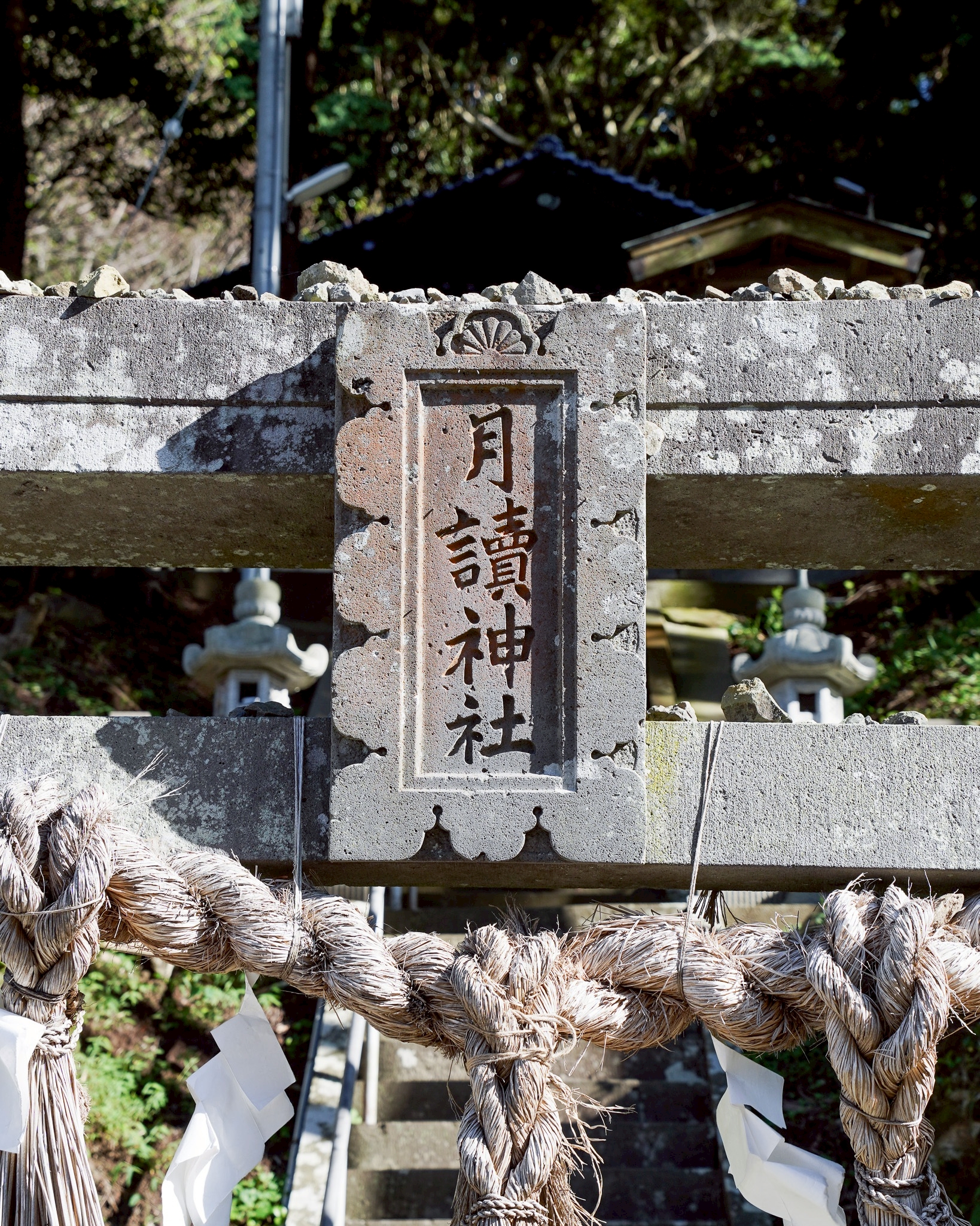 重家酒造よこやま 吟のさと 壱岐の花酵母