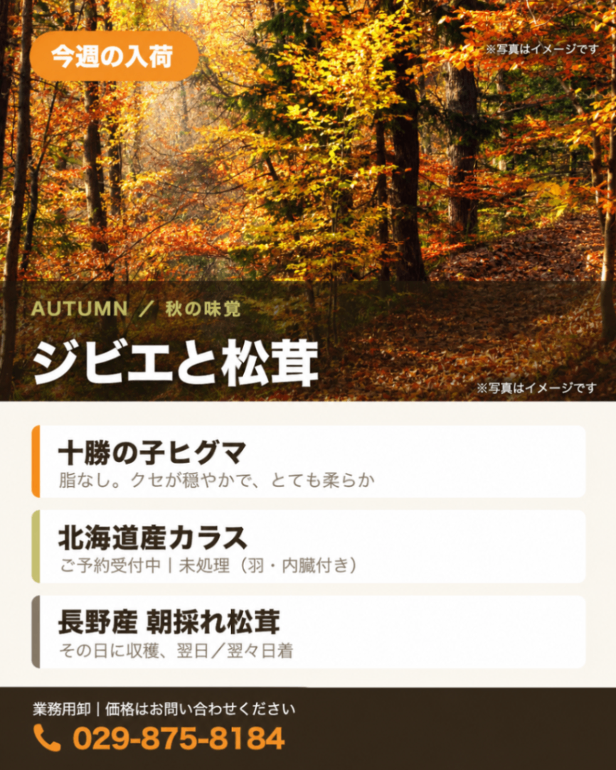 20260924 sns用画像(2)