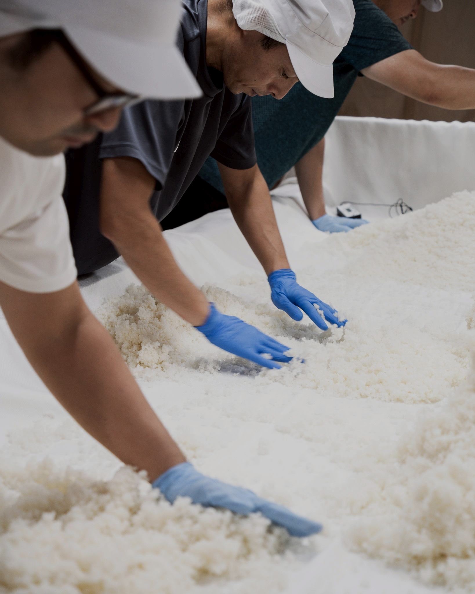 よこやま日本酒の仕込み 重家酒造