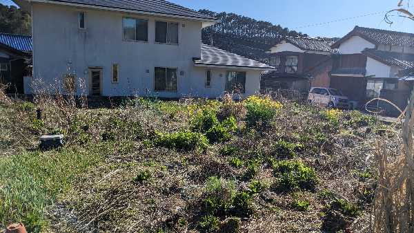 有田町の川久保農園さんへ