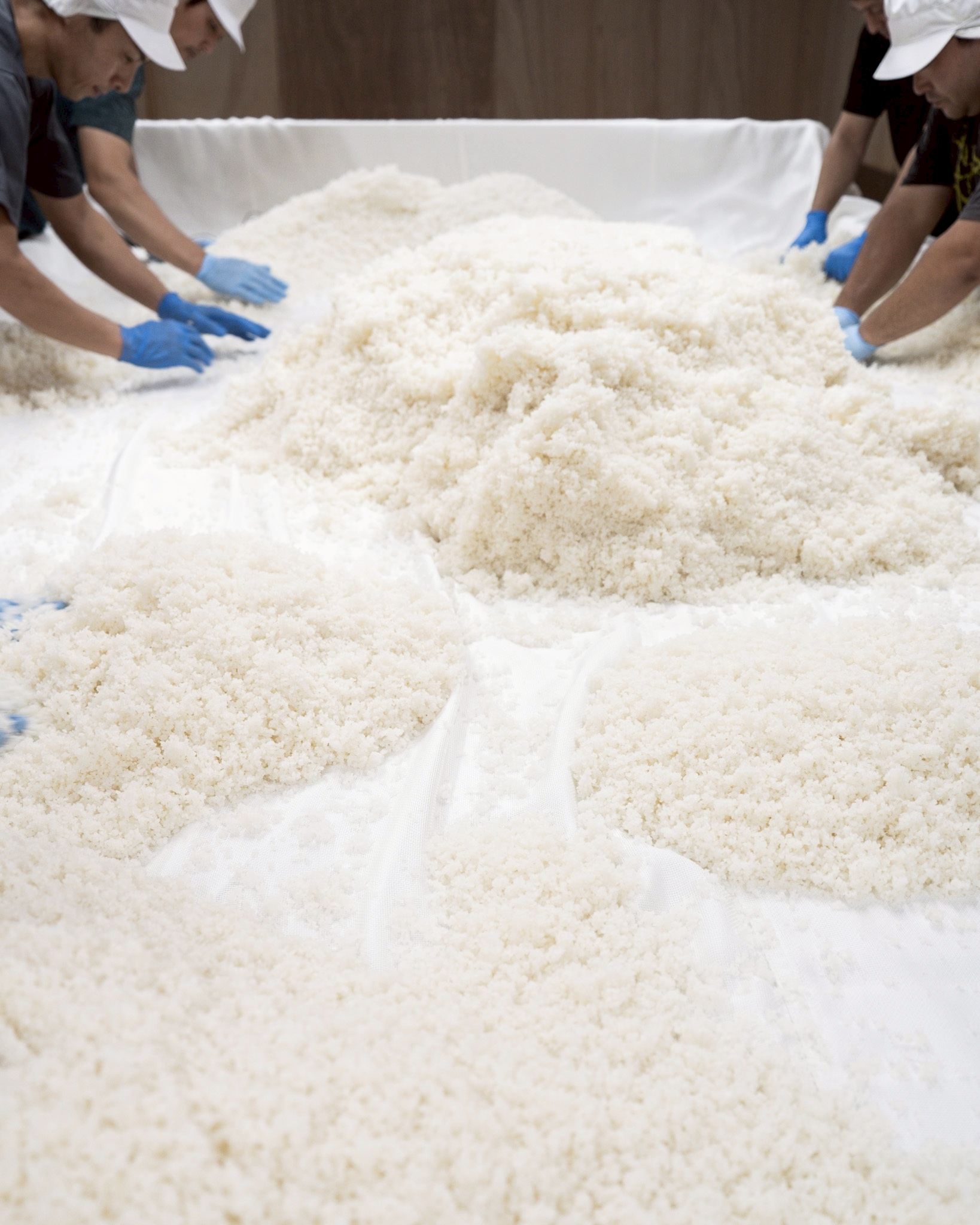 よこやま日本酒の仕込み 重家酒造