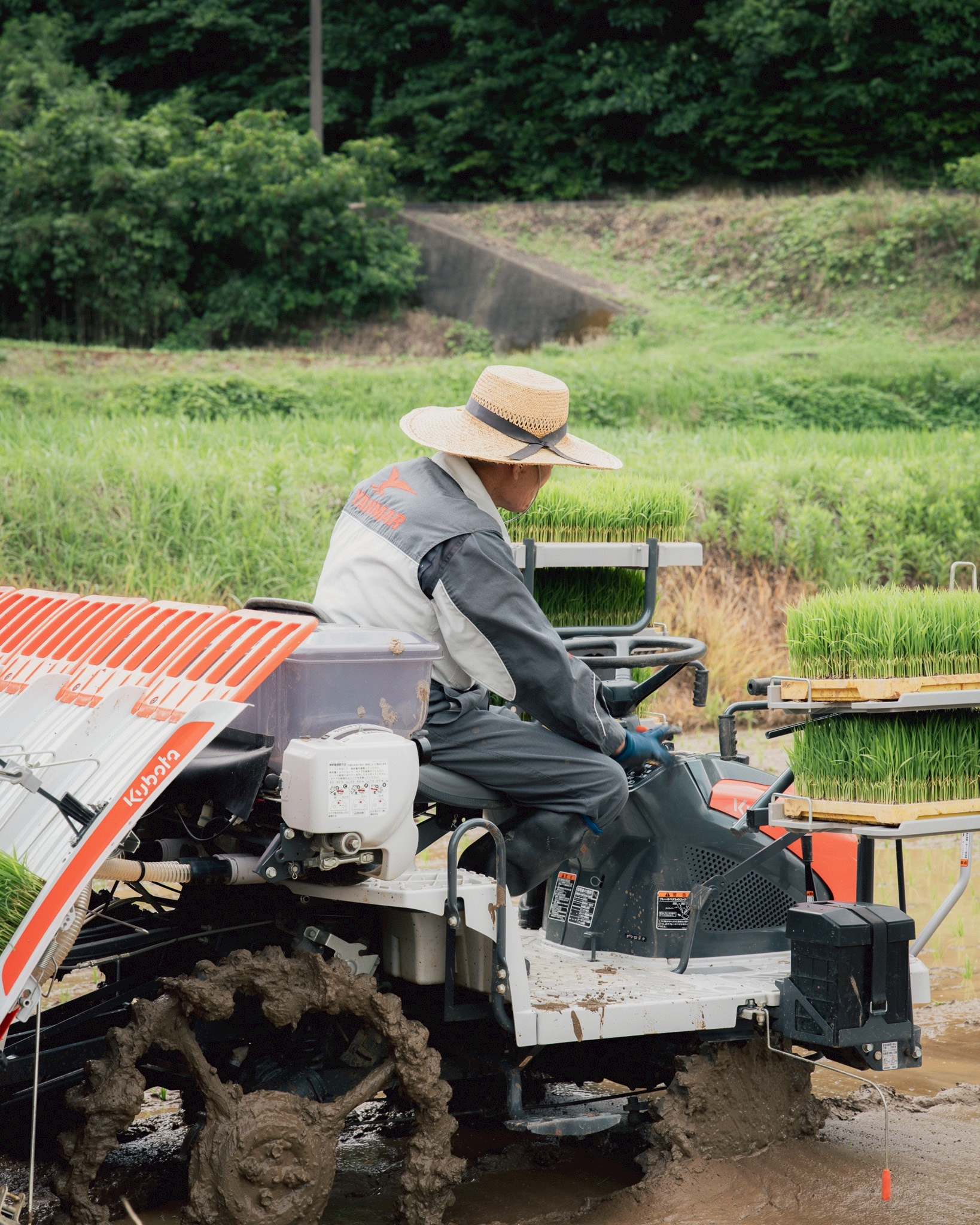 重家酒造よこやま 吟のさと 田植え