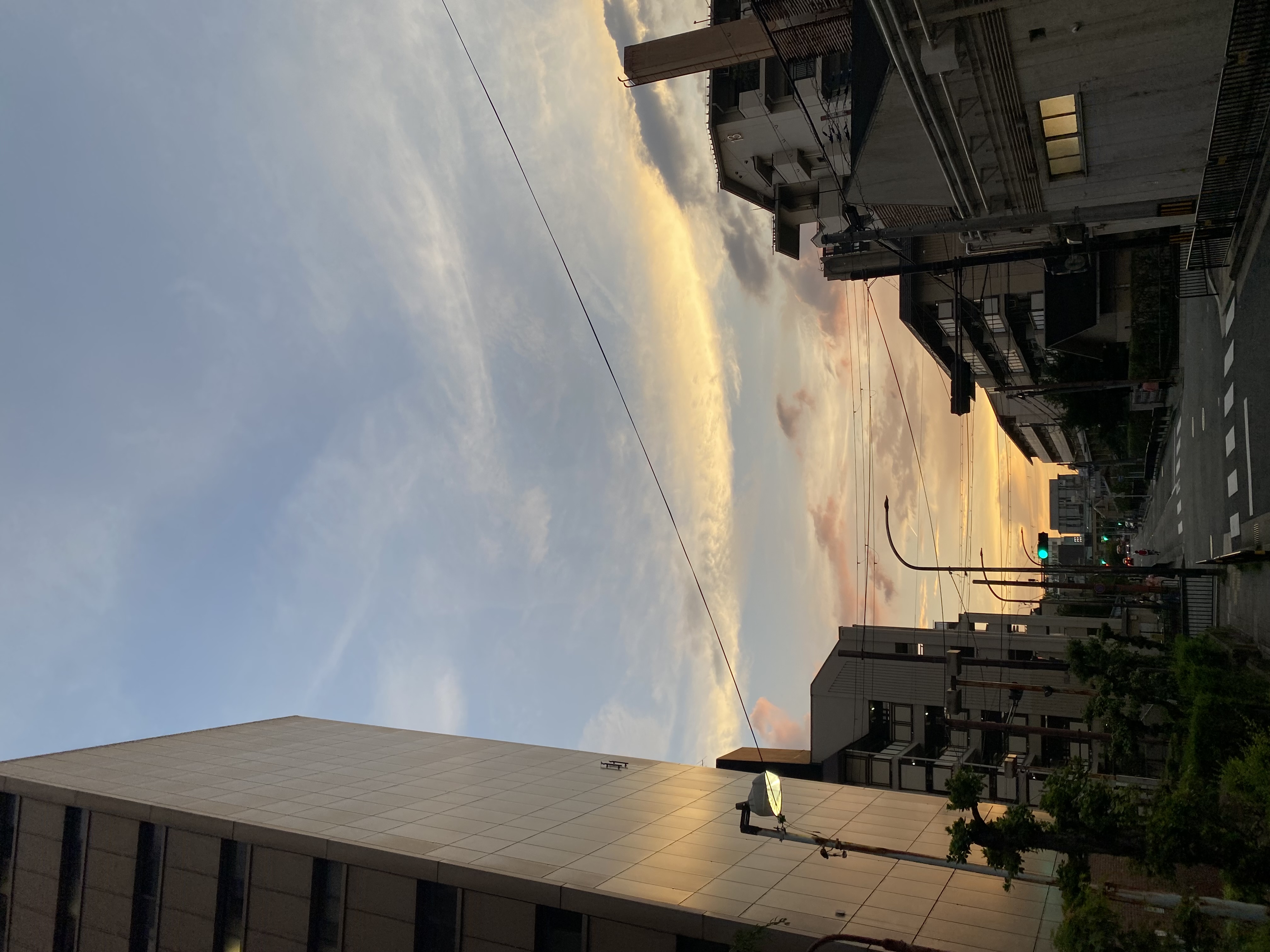 img_5250.jpeg