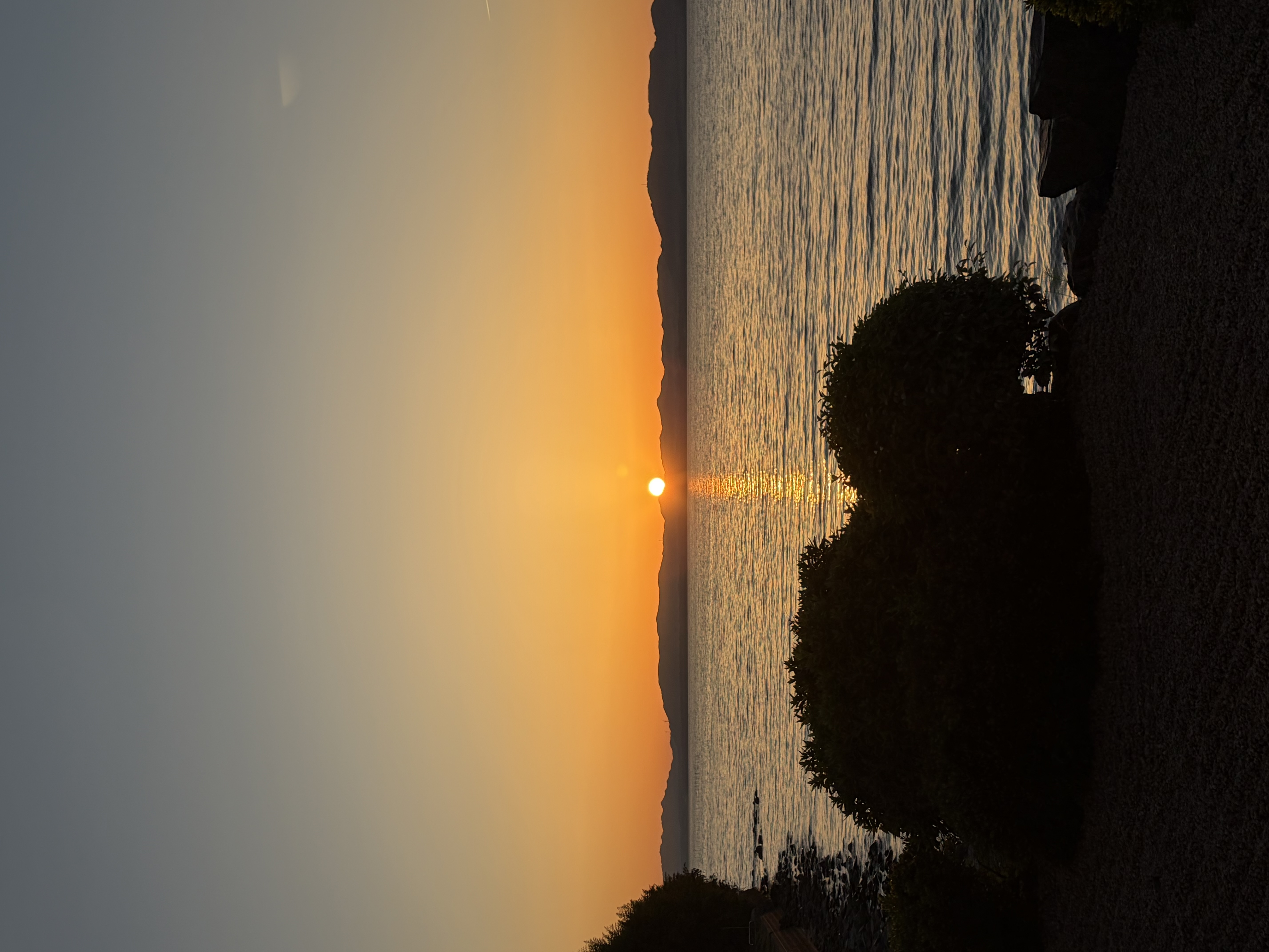 img_0067.jpeg