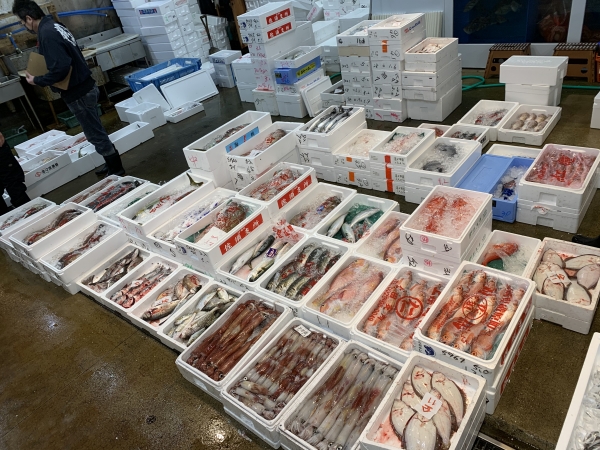 17日 現場の画像②