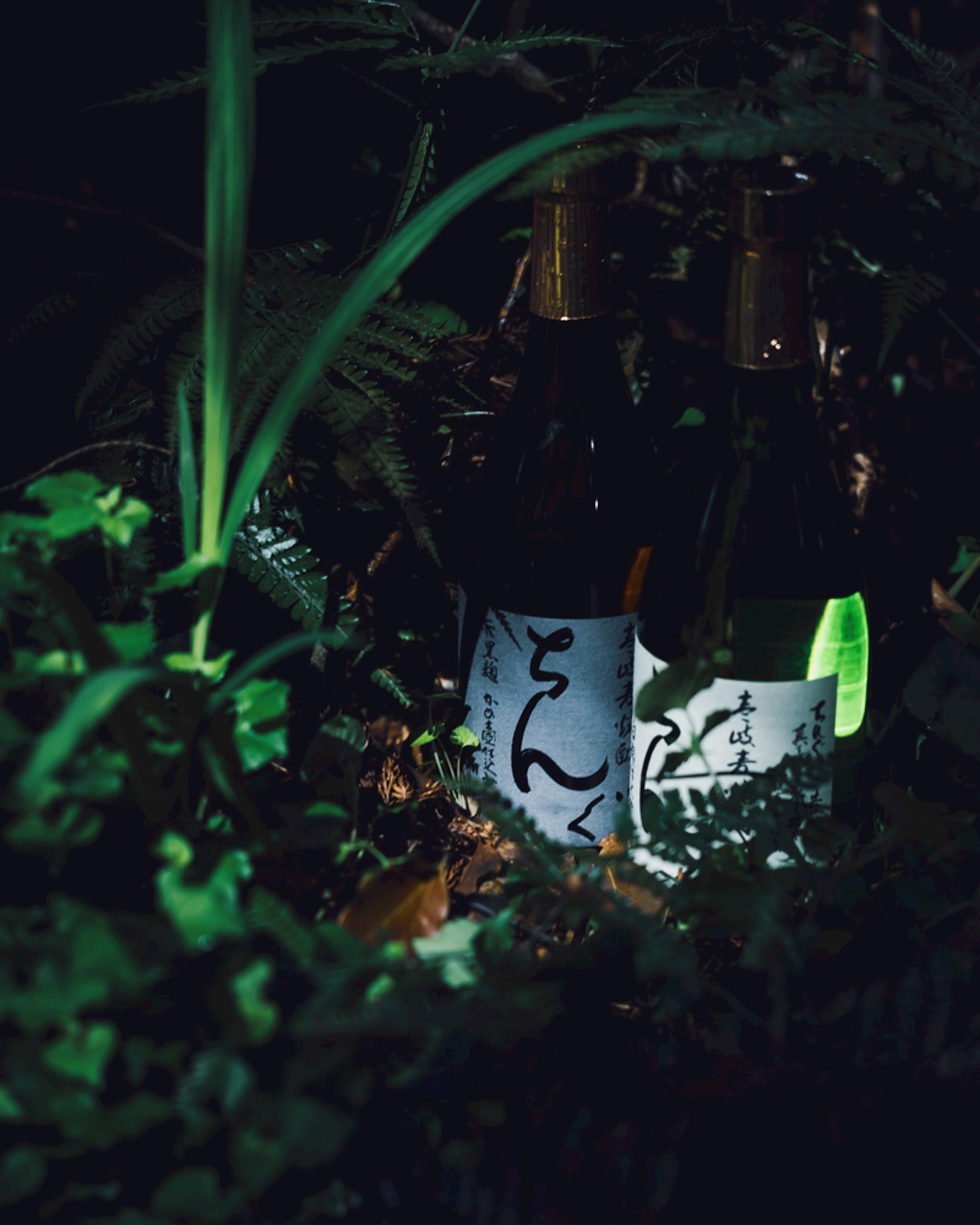 ちんぐ黒麹 お湯割り 壱岐焼酎