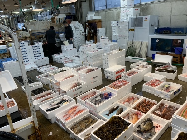 22日 現場の画像