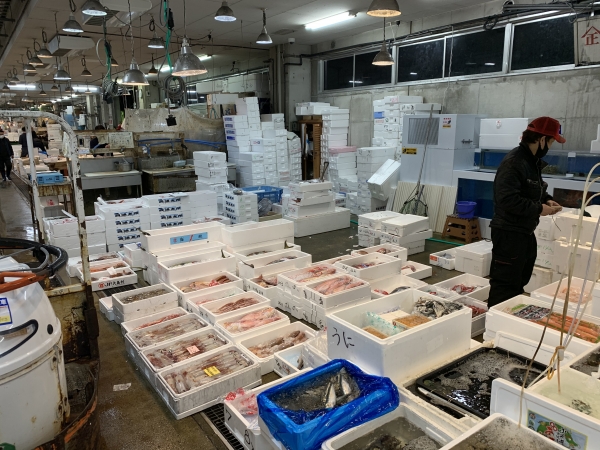 16日 現場の画像②