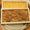 dsc00204.jpg